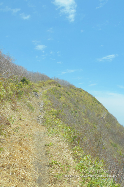 4月の山活⑤**恋しいあのコのいる奥大山へ_b0197639_16364258.jpg