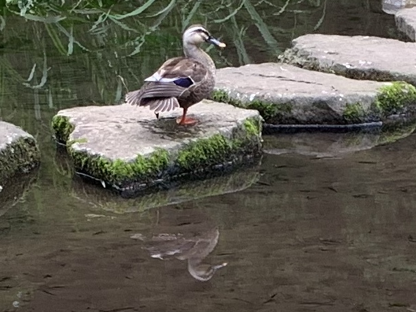 b0330040_23590149.jpeg