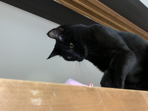 b0341440_17332920.jpeg