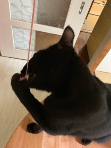 b0341440_17333067.jpeg
