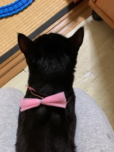 b0341440_17335426.jpeg