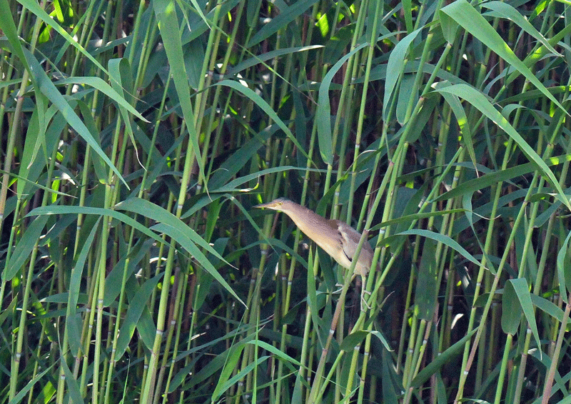 d0290240_16050910.gif