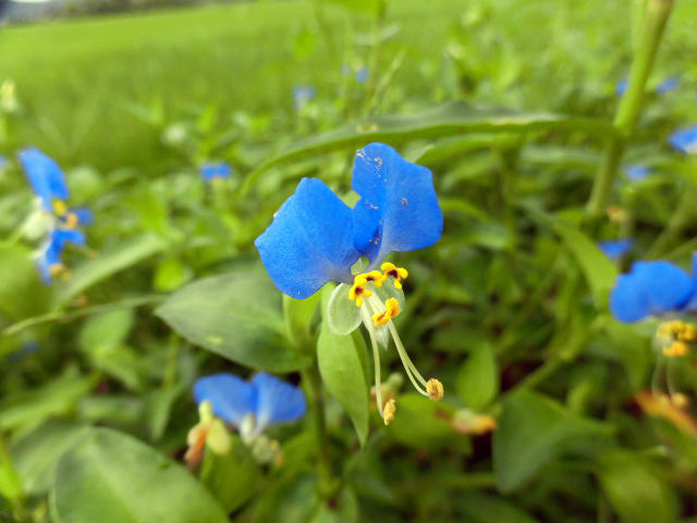 e0024554_00162061.jpg