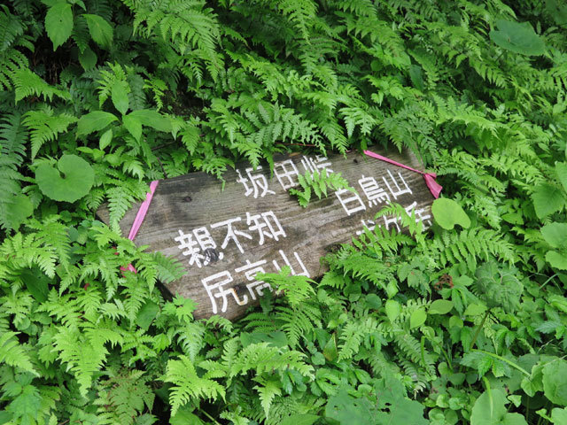 c0116856_20373030.jpg