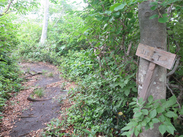 c0116856_20374383.jpg