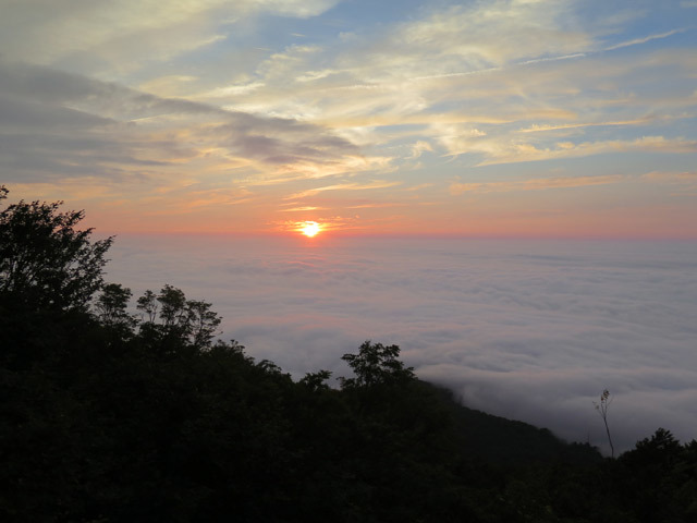 c0116856_20383217.jpg