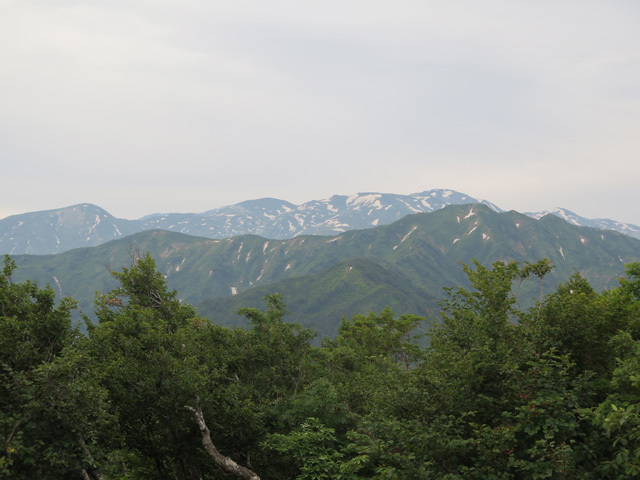 c0116856_20414563.jpg