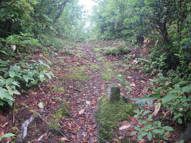 c0116856_20415389.jpg