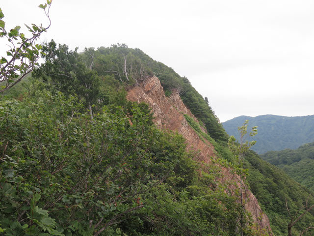 c0116856_20415846.jpg