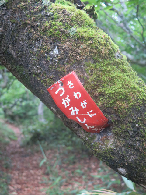 c0116856_20420732.jpg