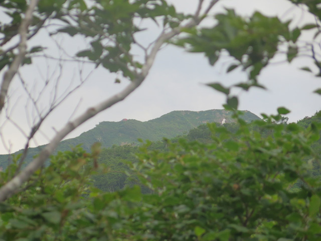 c0116856_20421150.jpg