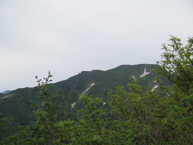 c0116856_20454225.jpg