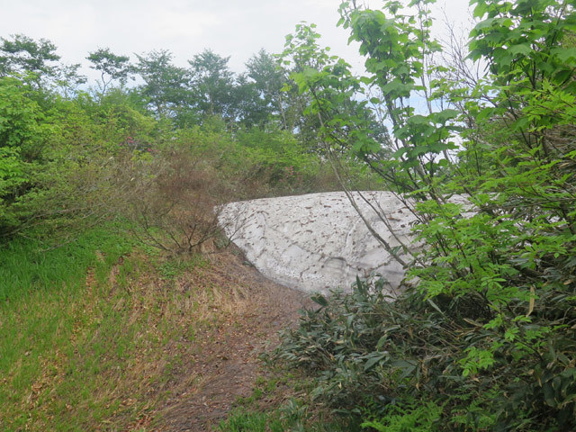 c0116856_20454559.jpg