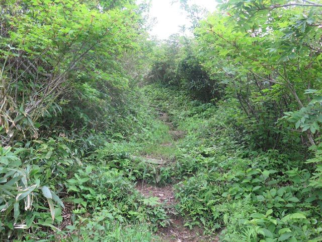 c0116856_20455682.jpg