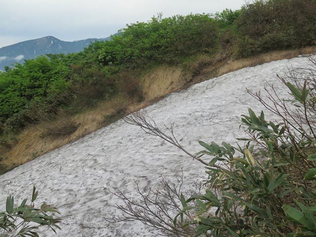 c0116856_20464156.jpg