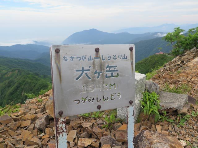 c0116856_20465161.jpg