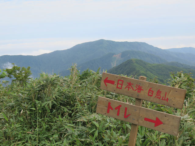 c0116856_20502436.jpg