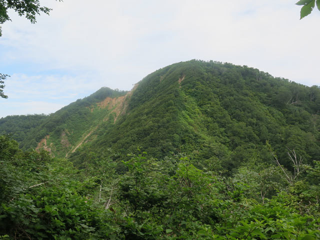 c0116856_20502957.jpg