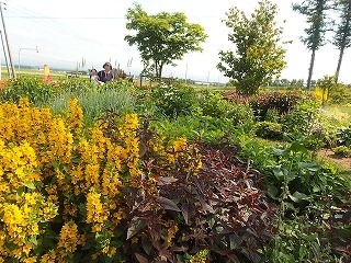 e0004756_21050143.jpg