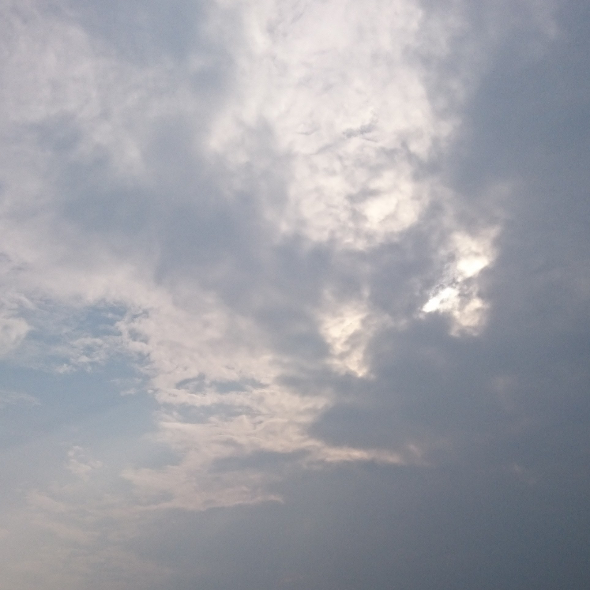 e0354456_16451107.jpg