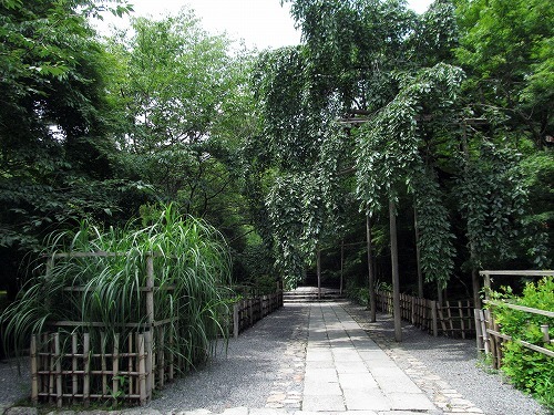 f0106664_08244240.jpg