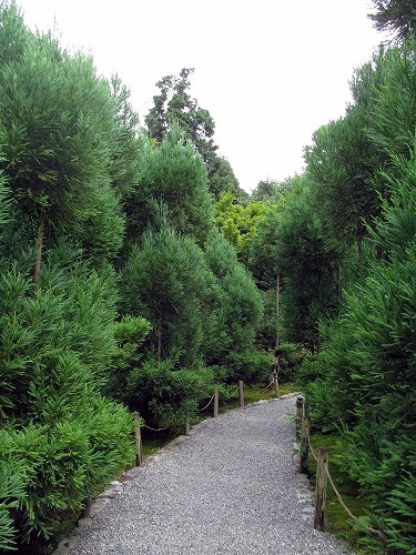 f0106664_08275416.jpg