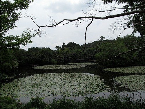 f0106664_08280874.jpg