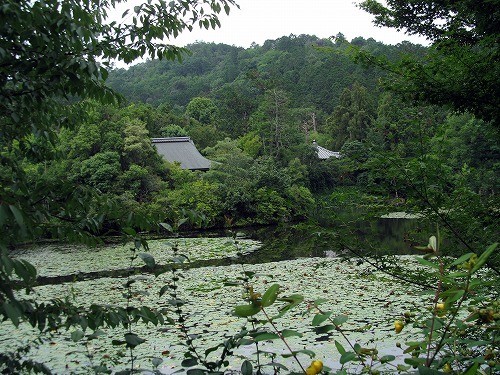 f0106664_08282177.jpg