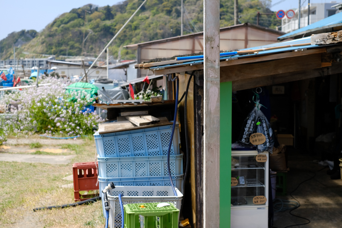 さて鎌倉~Ⅱ_c0084666_21215778.jpg