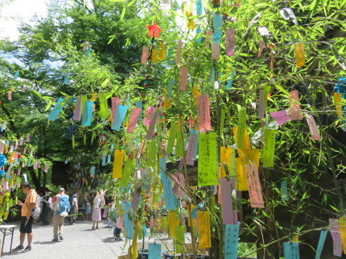 f0259373_14042859.jpg