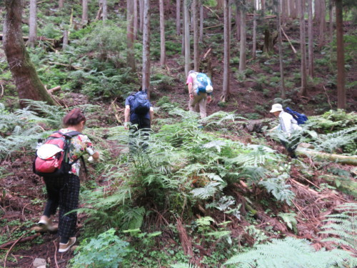 f0259373_14070916.jpg