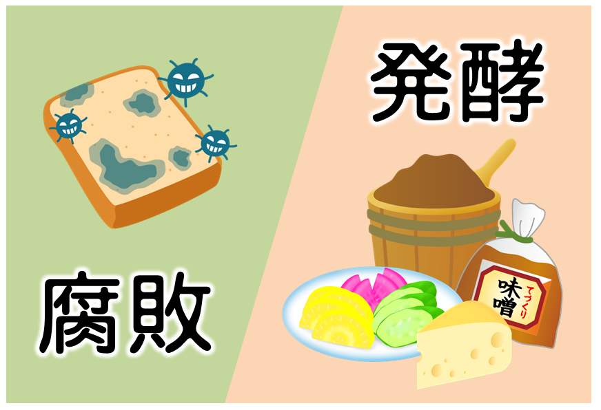7月6日(土)の体験入学のご報告_d0073476_15513809.png