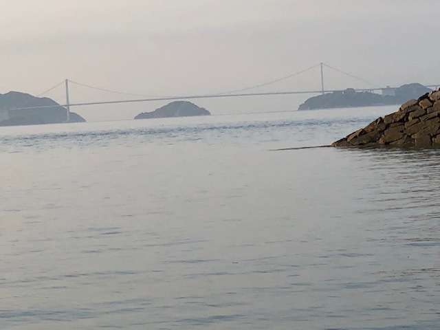 f0333882_15255592.jpg