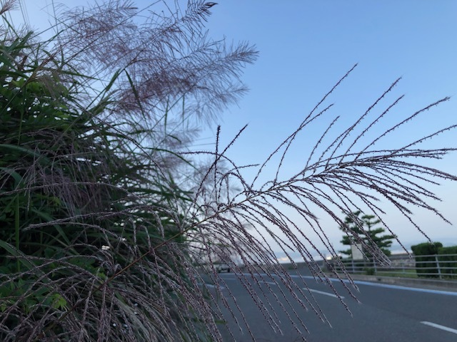 f0333882_15261910.jpg