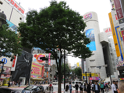 b0056983_15390888.png