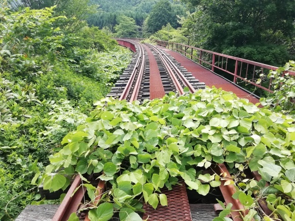 c0212083_14062468.jpg