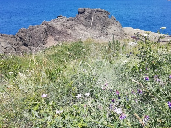 c0212083_14110938.jpg