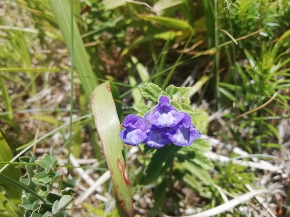 c0212083_14123414.jpg