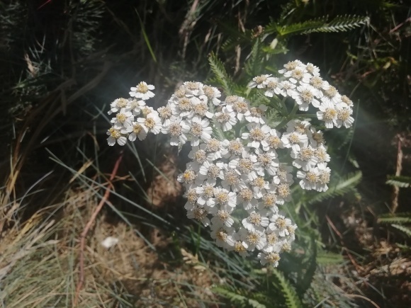 c0212083_14140418.jpg