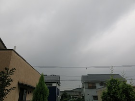 明け方前から雨となった鹿児島市。花壇で鹿の子ゆり_e0130185_9462553.jpg