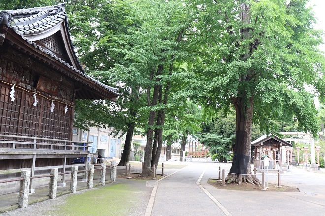 d0183387_11122299.jpg