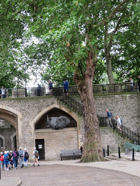 f0346196_10015054.jpg