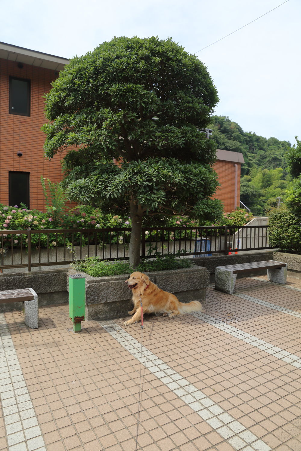 b0275998_10592657.jpg