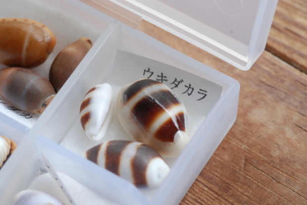 嬉しいものご到着!_d0359503_18005957.jpg