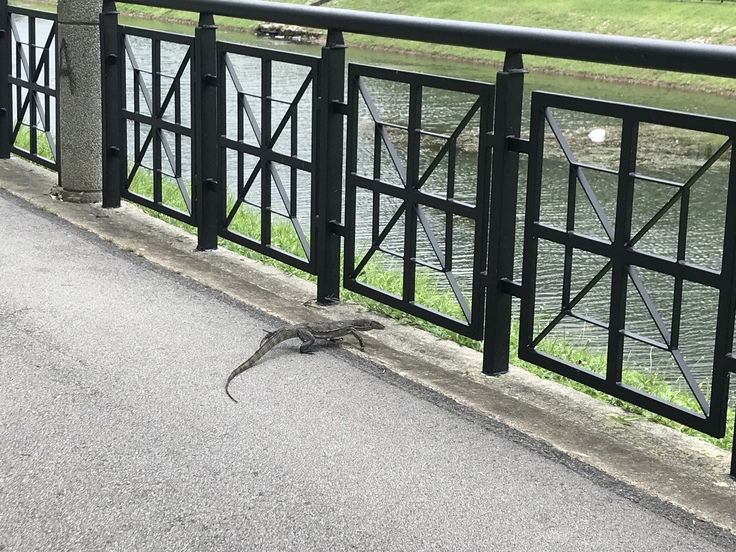 ワンポアからゲイランバルへ♪_c0212604_715887.jpg