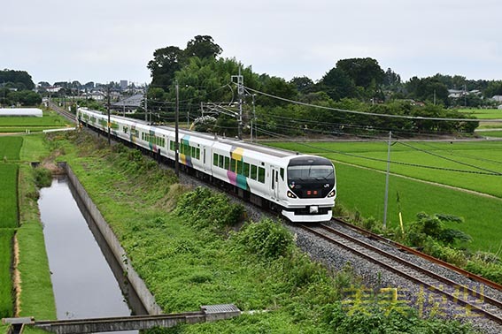 d0110009_17425522.jpg