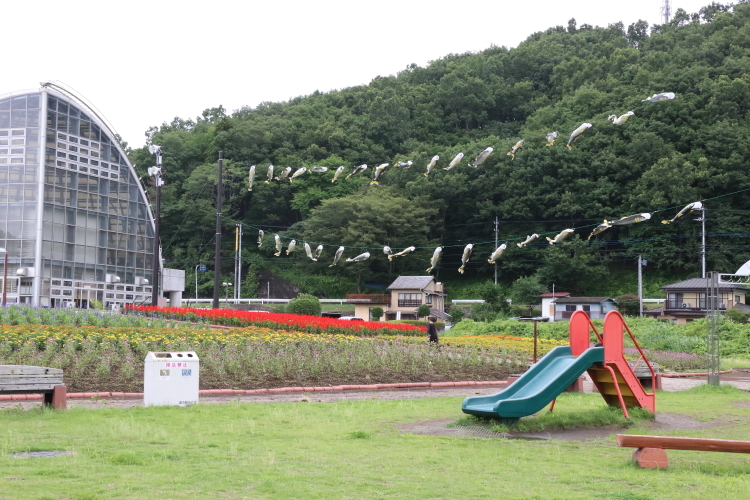 休日の昼過ぎの終着駅 - 2019年梅雨・真岡鐵道 -_b0190710_22315476.jpg