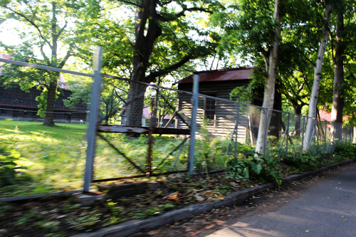 a0139912_10320886.jpg