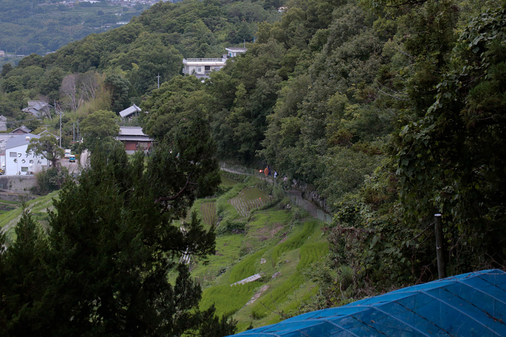 d0011713_16240635.jpg