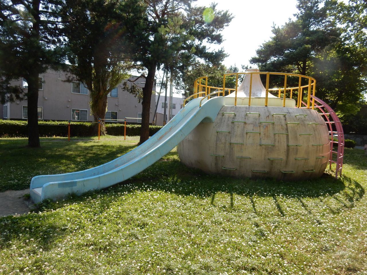 夏日の強い木漏れ日_c0025115_22173102.jpg